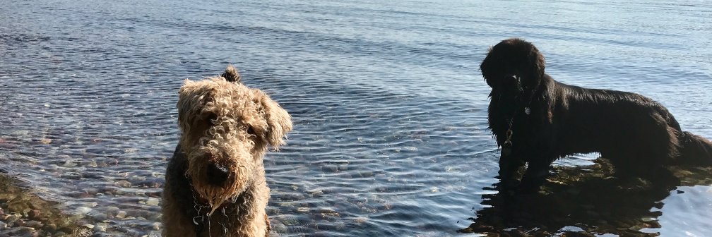 PRjbenson's profile banner image