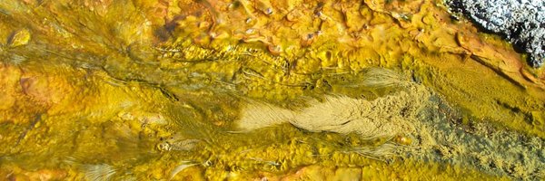 GeomicrobioNet Profile Banner