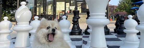 amberinjp Profile Banner