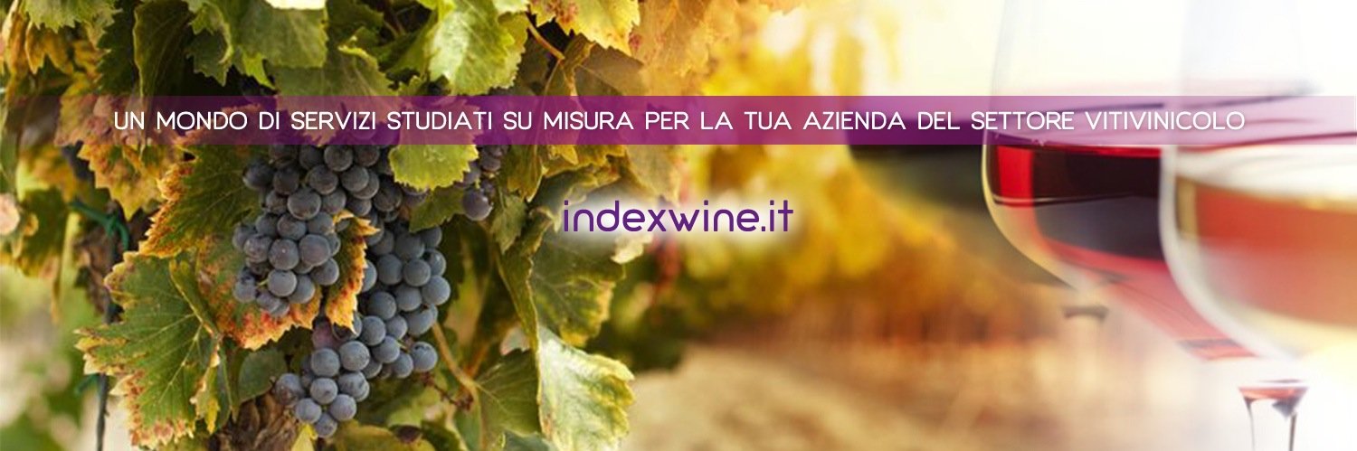 Indexwine banner