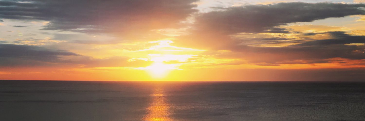 ソラニン😷☃️˖ ࣪⊹ banner