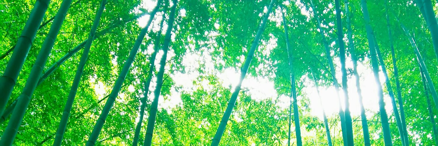 kanpnn's profile banner image