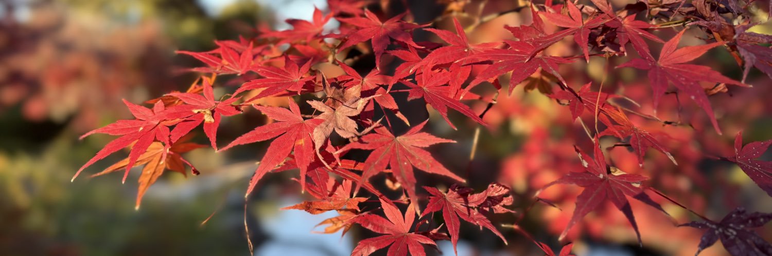 ゆい@0スタ banner