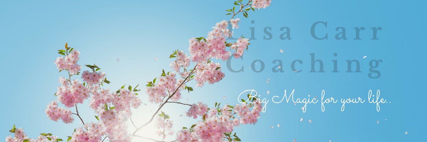 carrpartyoffive's profile banner image
