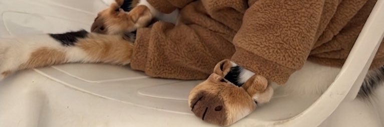 reegama's profile banner image