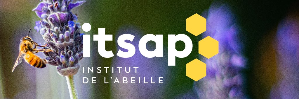 ITSAP-Abeille banner