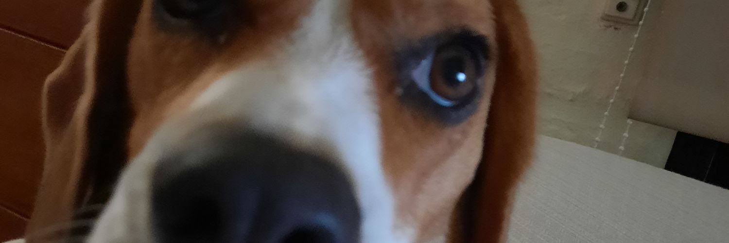 Abelendaf's profile banner image