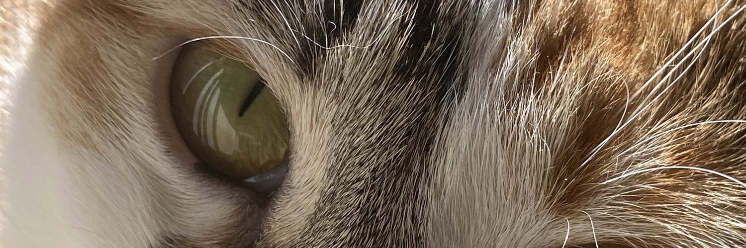 KevinDhnic's profile banner image