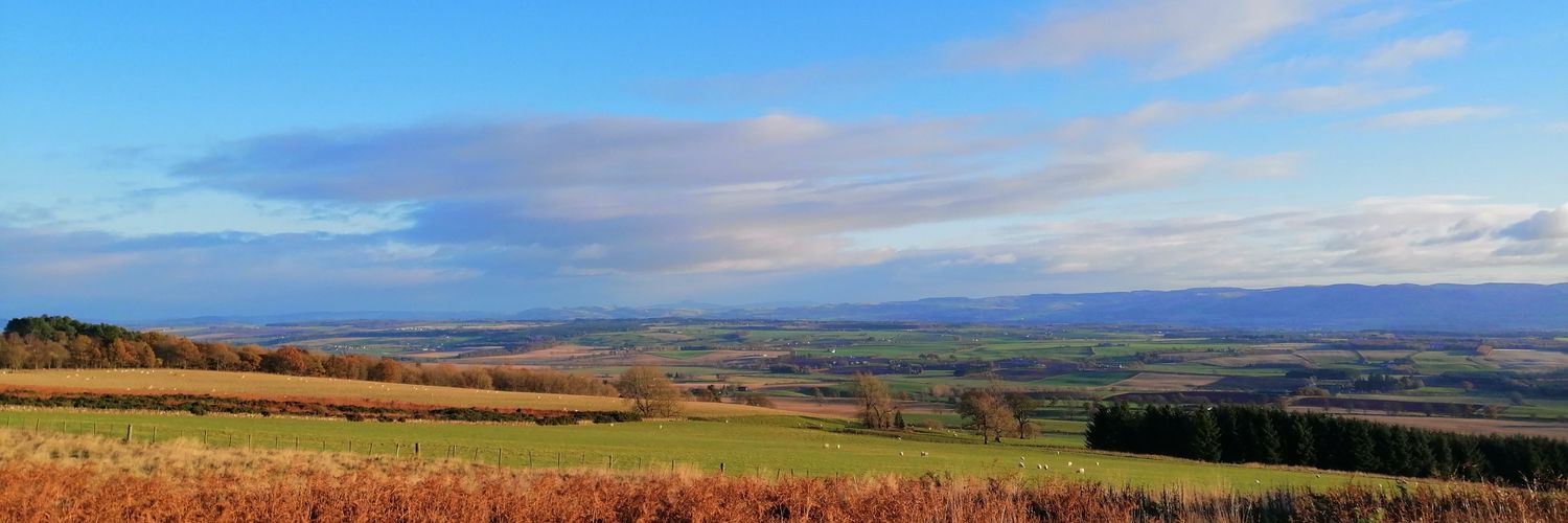 Daniel Postma banner