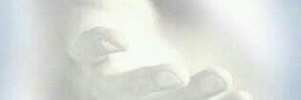 Fransherbst Profile Banner