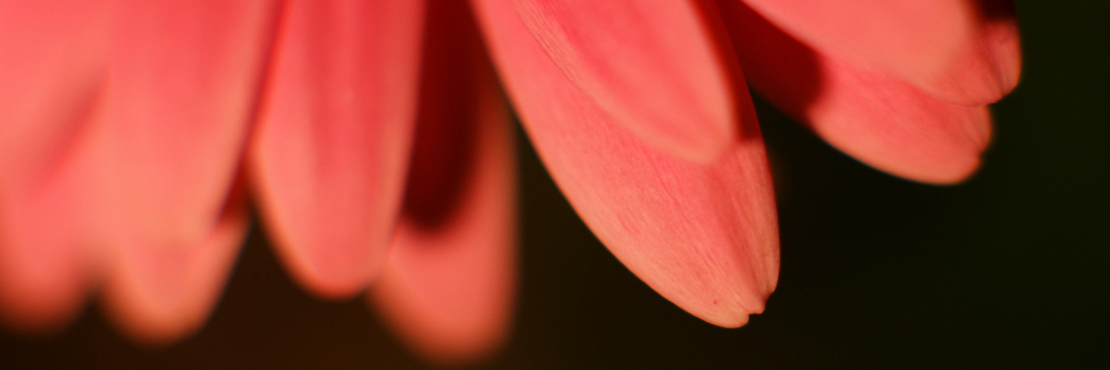 OlliSodrik's profile banner image