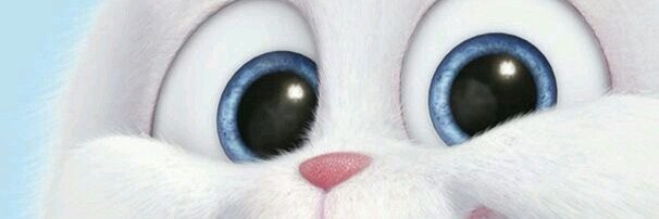 valeorso's profile banner image