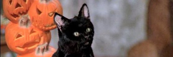 _bresuschrist's profile banner image