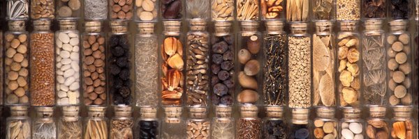 SeedSciSoc Profile Banner