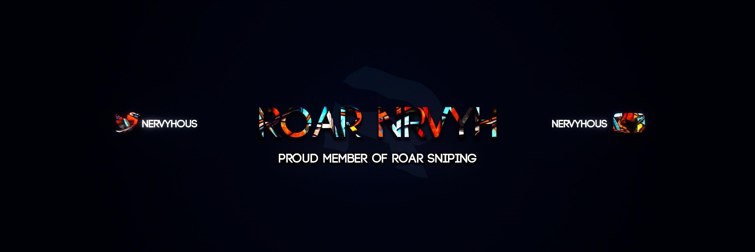 Nervyhous's profile banner image