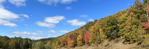 DennisHOBO Profile Banner