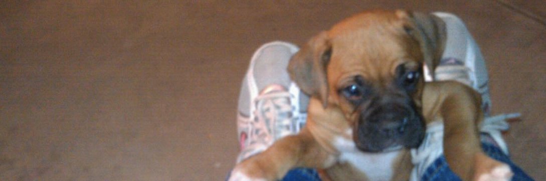 kacey217's profile banner image