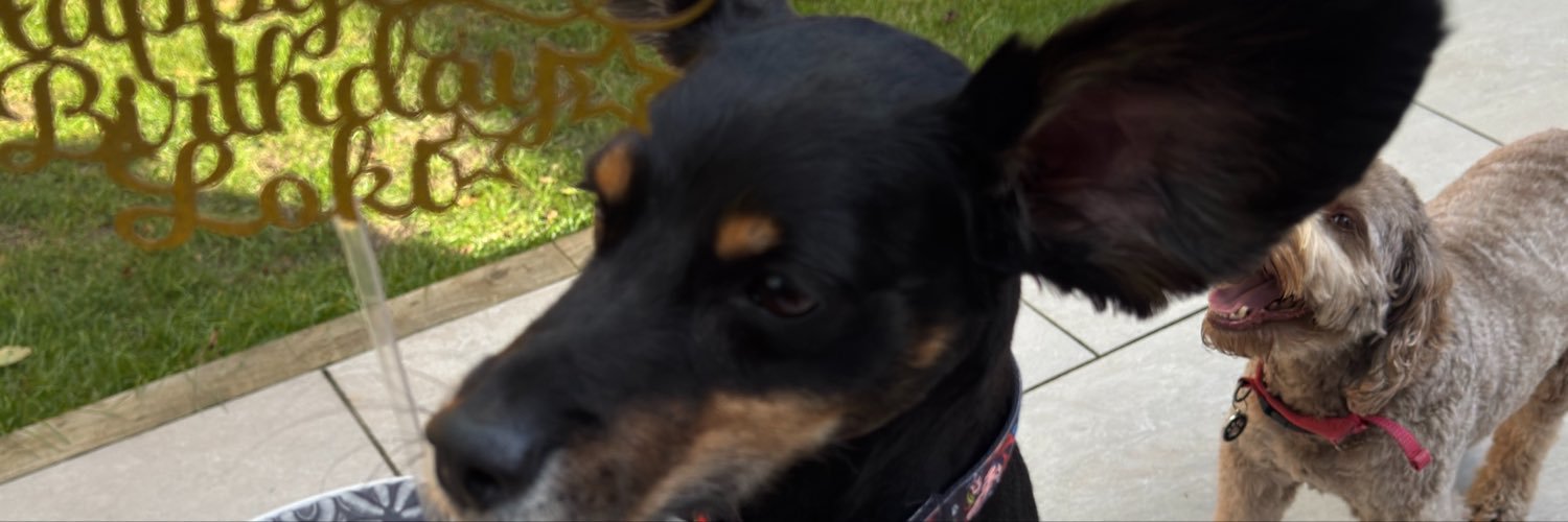 rowanfayeburn's profile banner image