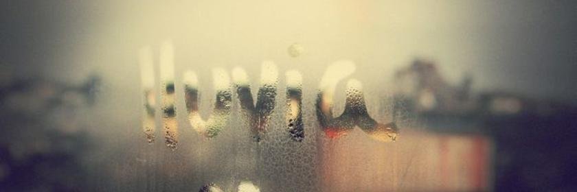 sandyguillen26's profile banner image