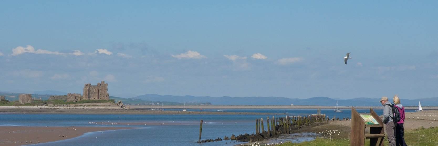 Emma Broadbent banner