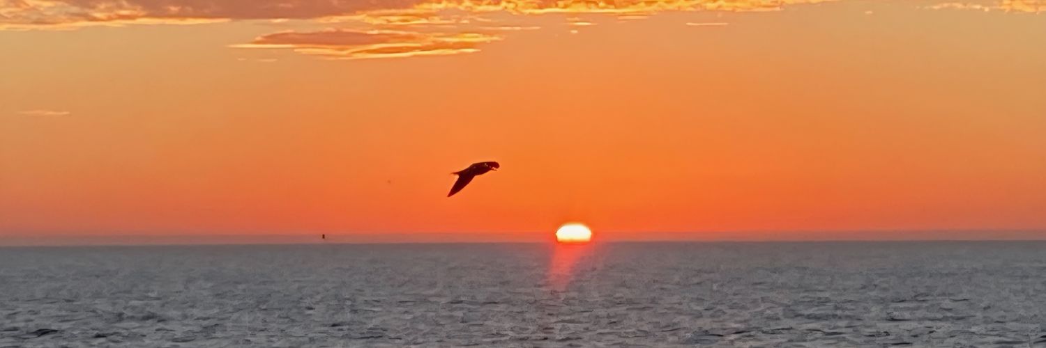 onholiday830's profile banner image