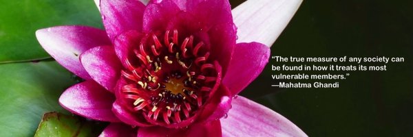 ccleighton Profile Banner