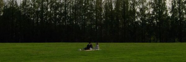 sdyard Profile Banner