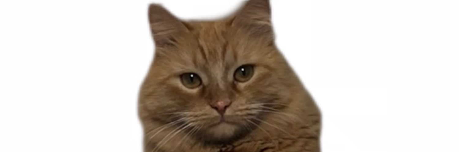 azrairems's profile banner image