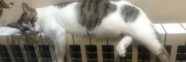 nabautist Profile Banner