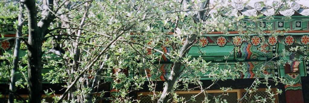wis_d_life's profile banner image
