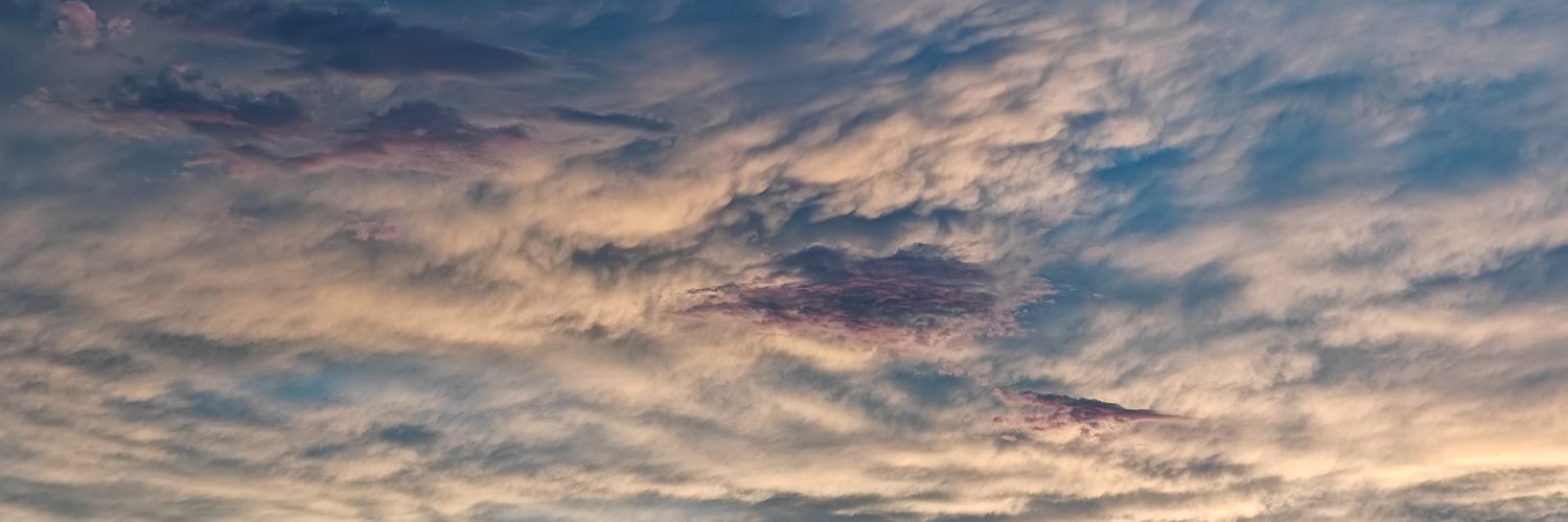 V banner