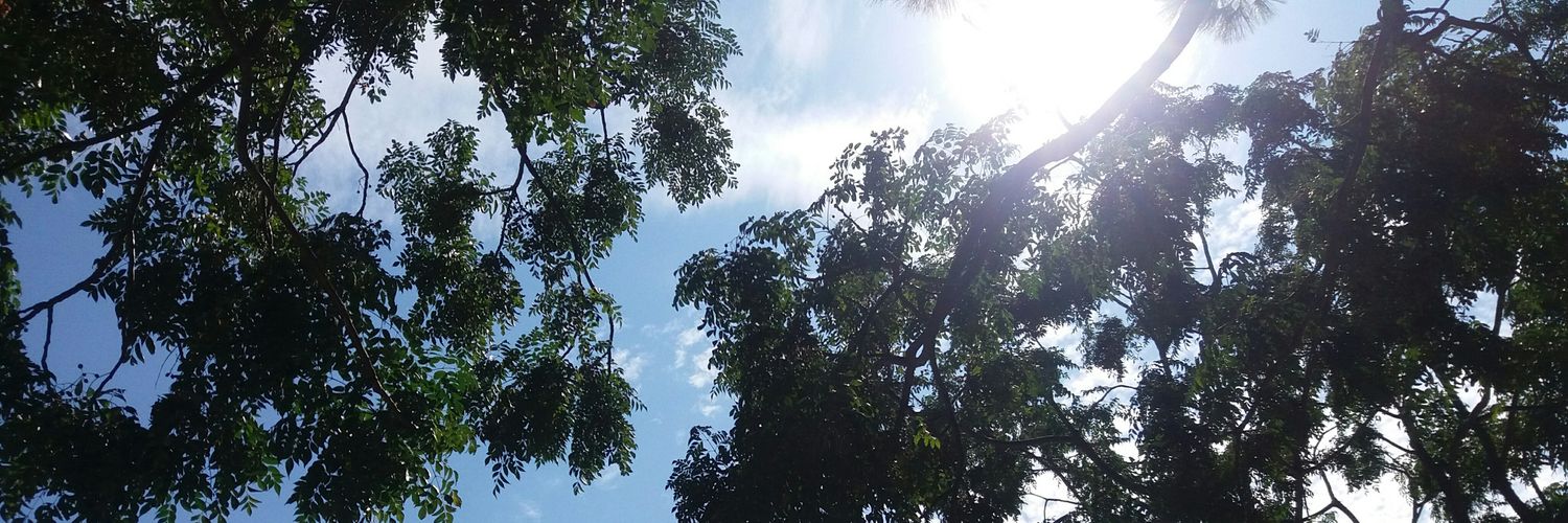 CarlosAlbertoCP's profile banner image