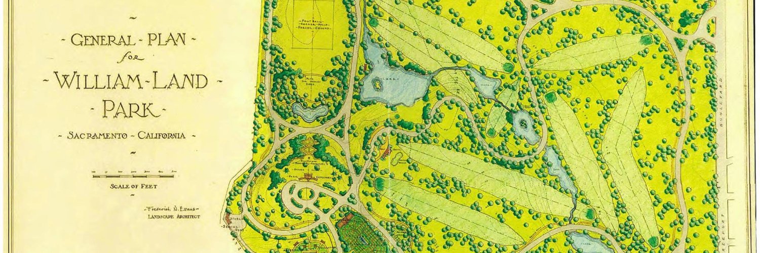 Beautiful Disaster banner