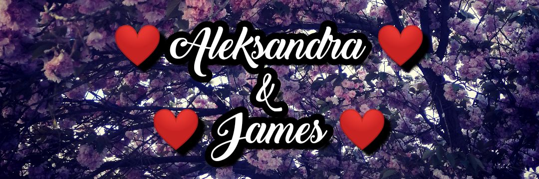 AlexandraBoric's profile banner image