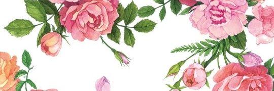 sevsevia's profile banner image