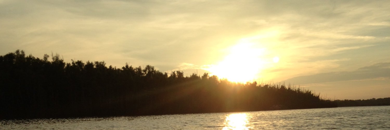 wbwebb's profile banner image