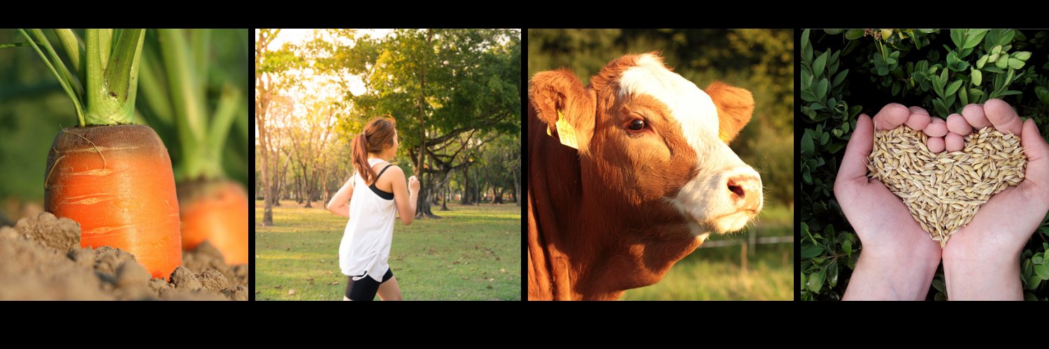 SuzanneStluka's profile banner image