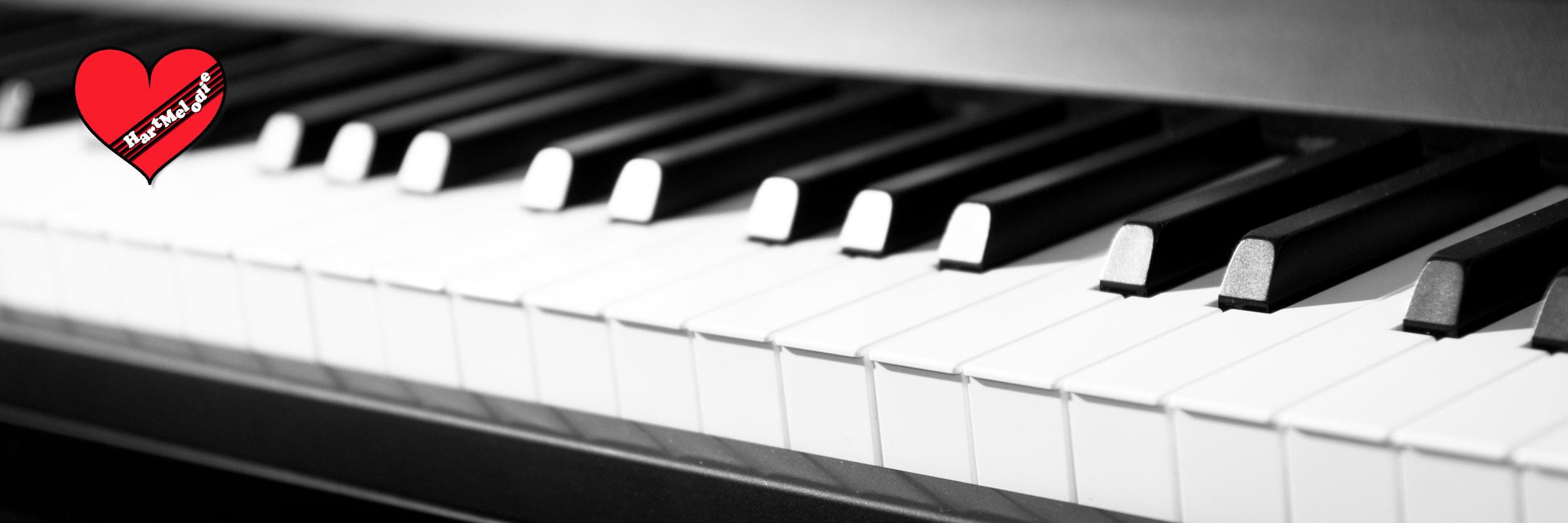 Hartmelodie's profile banner image