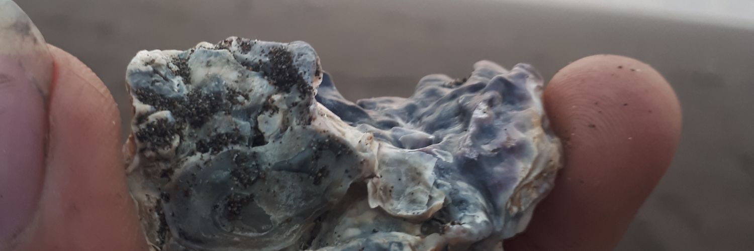 noeaiza's profile banner image