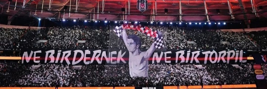 Sinan banner