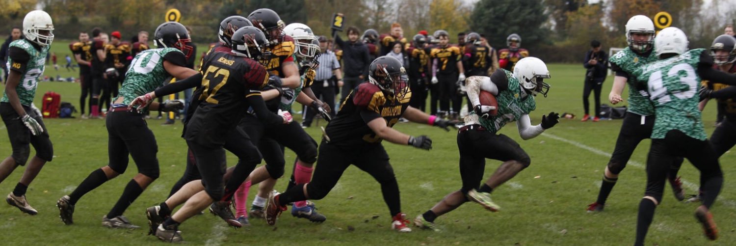 Leicester Longhorns banner