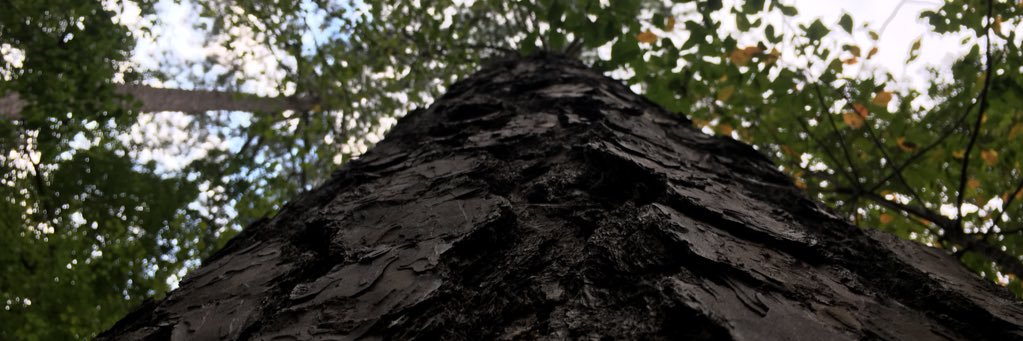 hipcool's profile banner image