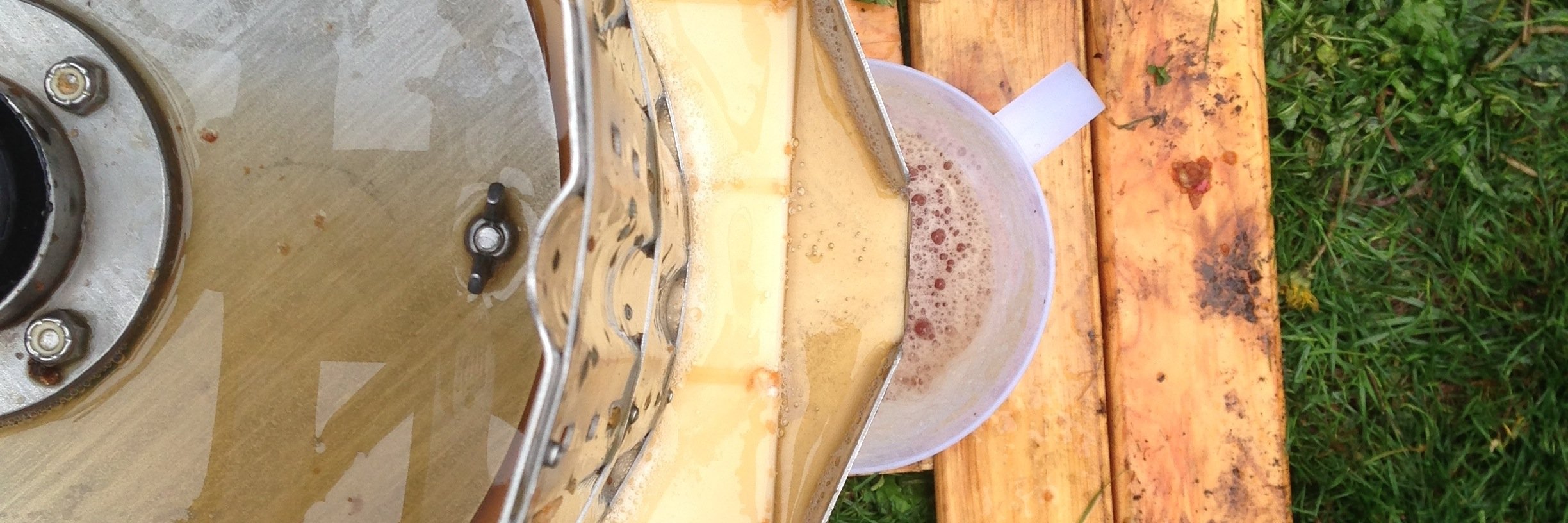 Matthew Lawrence banner