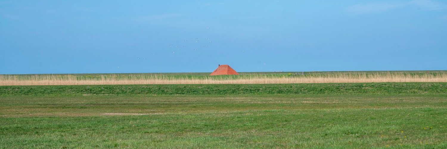 SandervanAlphen's profile banner image
