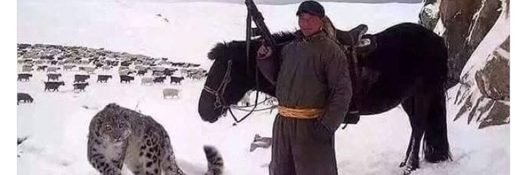 Matthew Parnell banner