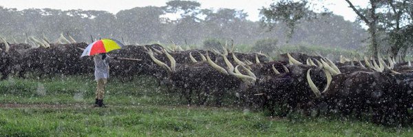 AmoruPaul Profile Banner