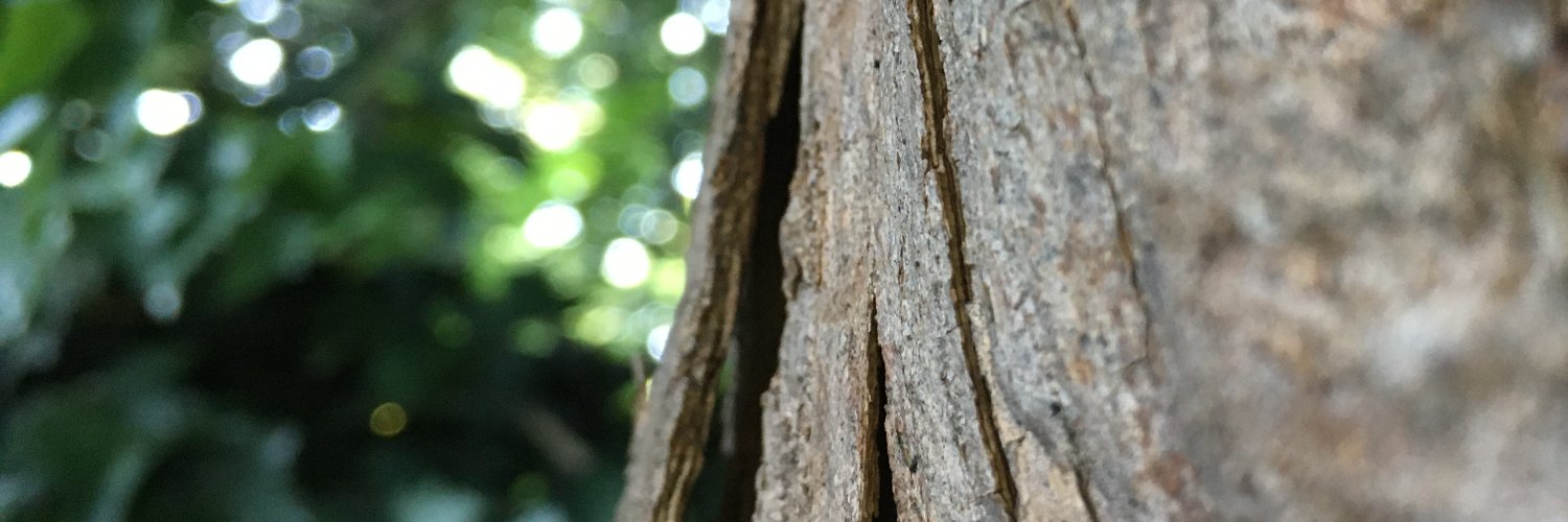 Jasonbarty's profile banner image