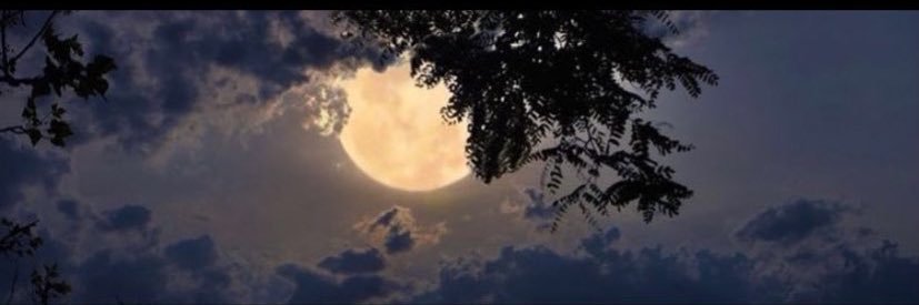 meej_999's profile banner image
