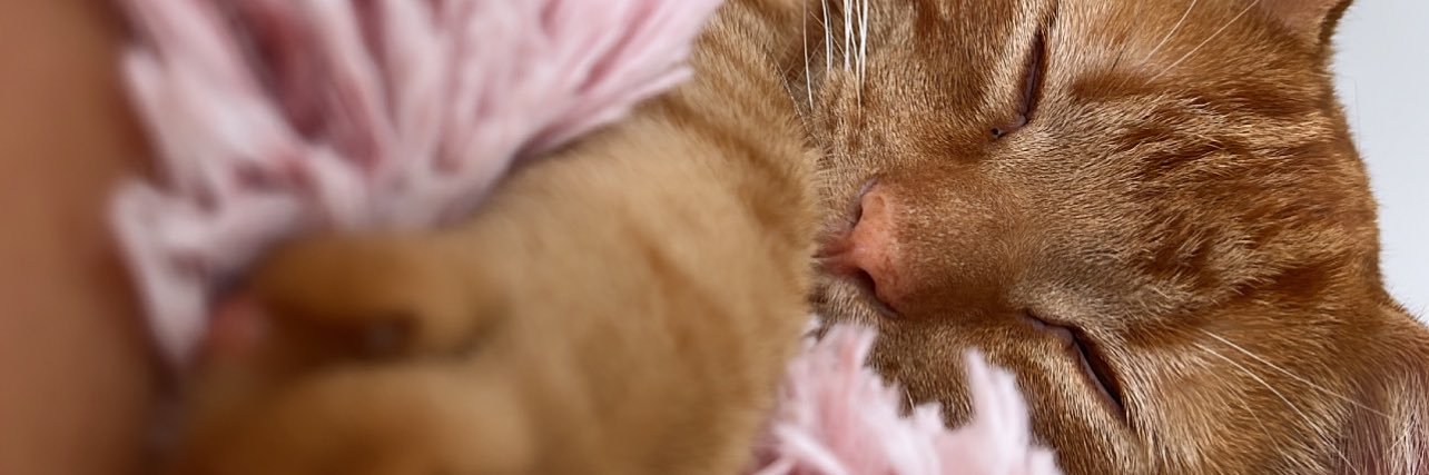 babeitstiff's profile banner image