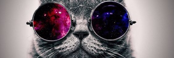 dazzlinganji's profile banner image